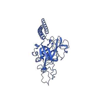 34373_8gym_d_v1-0
Cryo-EM structure of Tetrahymena thermophila respiratory mega-complex MC IV2+(I+III2+II)2