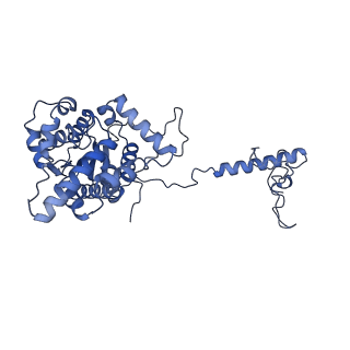 34373_8gym_e_v1-0
Cryo-EM structure of Tetrahymena thermophila respiratory mega-complex MC IV2+(I+III2+II)2
