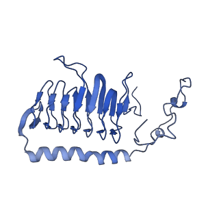 34373_8gym_g1_v1-0
Cryo-EM structure of Tetrahymena thermophila respiratory mega-complex MC IV2+(I+III2+II)2