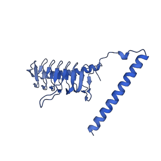 34373_8gym_g2_v1-0
Cryo-EM structure of Tetrahymena thermophila respiratory mega-complex MC IV2+(I+III2+II)2