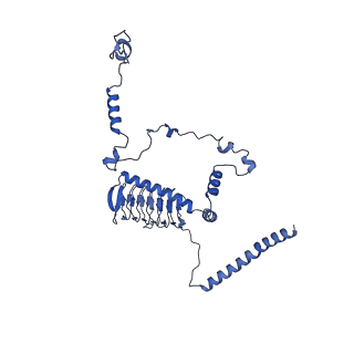 34373_8gym_g3_v1-0
Cryo-EM structure of Tetrahymena thermophila respiratory mega-complex MC IV2+(I+III2+II)2