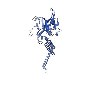 34373_8gym_h_v1-0
Cryo-EM structure of Tetrahymena thermophila respiratory mega-complex MC IV2+(I+III2+II)2