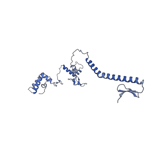 34373_8gym_j1_v1-0
Cryo-EM structure of Tetrahymena thermophila respiratory mega-complex MC IV2+(I+III2+II)2