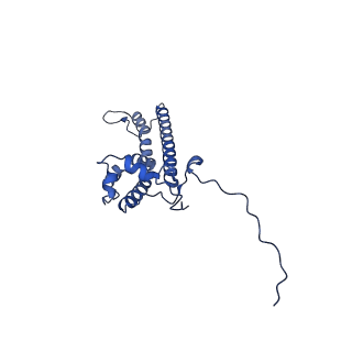 34373_8gym_l_v1-0
Cryo-EM structure of Tetrahymena thermophila respiratory mega-complex MC IV2+(I+III2+II)2