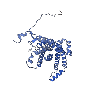 34373_8gym_m1_v1-0
Cryo-EM structure of Tetrahymena thermophila respiratory mega-complex MC IV2+(I+III2+II)2
