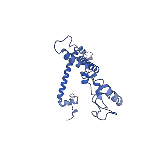 34373_8gym_m_v1-0
Cryo-EM structure of Tetrahymena thermophila respiratory mega-complex MC IV2+(I+III2+II)2