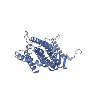 34373_8gym_n2_v1-0
Cryo-EM structure of Tetrahymena thermophila respiratory mega-complex MC IV2+(I+III2+II)2