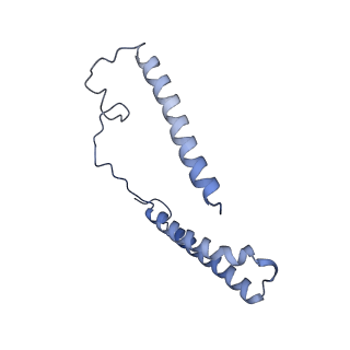 34373_8gym_n3_v1-0
Cryo-EM structure of Tetrahymena thermophila respiratory mega-complex MC IV2+(I+III2+II)2