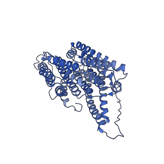 34373_8gym_n4_v1-0
Cryo-EM structure of Tetrahymena thermophila respiratory mega-complex MC IV2+(I+III2+II)2