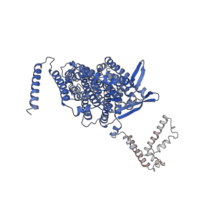 34373_8gym_n5_v1-0
Cryo-EM structure of Tetrahymena thermophila respiratory mega-complex MC IV2+(I+III2+II)2