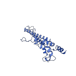 34373_8gym_n_v1-0
Cryo-EM structure of Tetrahymena thermophila respiratory mega-complex MC IV2+(I+III2+II)2
