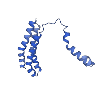 34373_8gym_o_v1-0
Cryo-EM structure of Tetrahymena thermophila respiratory mega-complex MC IV2+(I+III2+II)2