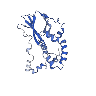 34373_8gym_p1_v1-0
Cryo-EM structure of Tetrahymena thermophila respiratory mega-complex MC IV2+(I+III2+II)2