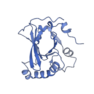 34373_8gym_p2_v1-0
Cryo-EM structure of Tetrahymena thermophila respiratory mega-complex MC IV2+(I+III2+II)2