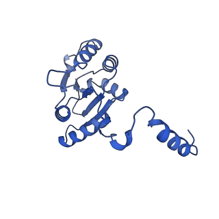 34373_8gym_p_v1-0
Cryo-EM structure of Tetrahymena thermophila respiratory mega-complex MC IV2+(I+III2+II)2
