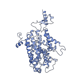 34373_8gym_qC_v1-0
Cryo-EM structure of Tetrahymena thermophila respiratory mega-complex MC IV2+(I+III2+II)2