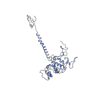 34373_8gym_qD_v1-0
Cryo-EM structure of Tetrahymena thermophila respiratory mega-complex MC IV2+(I+III2+II)2