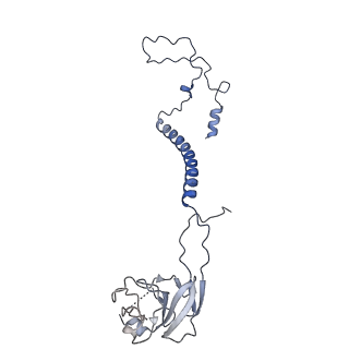 34373_8gym_qE_v1-0
Cryo-EM structure of Tetrahymena thermophila respiratory mega-complex MC IV2+(I+III2+II)2