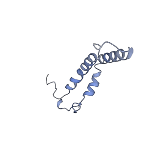 34373_8gym_qF_v1-0
Cryo-EM structure of Tetrahymena thermophila respiratory mega-complex MC IV2+(I+III2+II)2