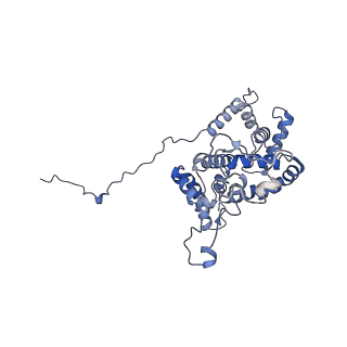 34373_8gym_qG_v1-0
Cryo-EM structure of Tetrahymena thermophila respiratory mega-complex MC IV2+(I+III2+II)2