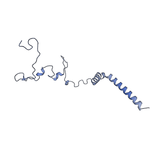34373_8gym_qH_v1-0
Cryo-EM structure of Tetrahymena thermophila respiratory mega-complex MC IV2+(I+III2+II)2