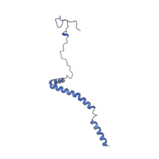 34373_8gym_qI_v1-0
Cryo-EM structure of Tetrahymena thermophila respiratory mega-complex MC IV2+(I+III2+II)2