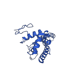 34373_8gym_q_v1-0
Cryo-EM structure of Tetrahymena thermophila respiratory mega-complex MC IV2+(I+III2+II)2