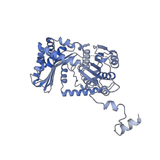 34373_8gym_qa_v1-0
Cryo-EM structure of Tetrahymena thermophila respiratory mega-complex MC IV2+(I+III2+II)2