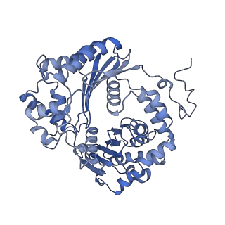 34373_8gym_qb_v1-0
Cryo-EM structure of Tetrahymena thermophila respiratory mega-complex MC IV2+(I+III2+II)2