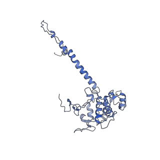 34373_8gym_qd_v1-0
Cryo-EM structure of Tetrahymena thermophila respiratory mega-complex MC IV2+(I+III2+II)2