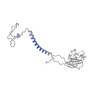 34373_8gym_qe_v1-0
Cryo-EM structure of Tetrahymena thermophila respiratory mega-complex MC IV2+(I+III2+II)2
