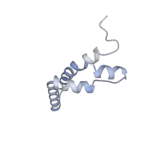 34373_8gym_qf_v1-0
Cryo-EM structure of Tetrahymena thermophila respiratory mega-complex MC IV2+(I+III2+II)2