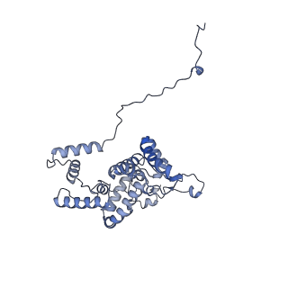 34373_8gym_qg_v1-0
Cryo-EM structure of Tetrahymena thermophila respiratory mega-complex MC IV2+(I+III2+II)2