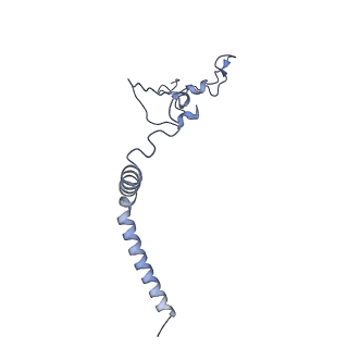 34373_8gym_qh_v1-0
Cryo-EM structure of Tetrahymena thermophila respiratory mega-complex MC IV2+(I+III2+II)2