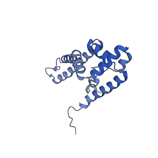 34373_8gym_r_v1-0
Cryo-EM structure of Tetrahymena thermophila respiratory mega-complex MC IV2+(I+III2+II)2