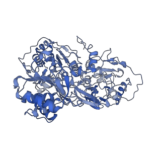 34373_8gym_s1_v1-0
Cryo-EM structure of Tetrahymena thermophila respiratory mega-complex MC IV2+(I+III2+II)2