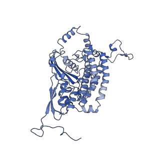 34373_8gym_s2_v1-0
Cryo-EM structure of Tetrahymena thermophila respiratory mega-complex MC IV2+(I+III2+II)2