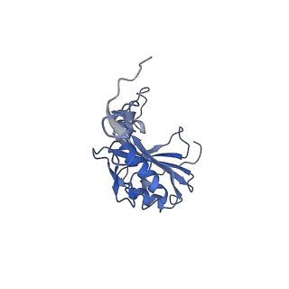 34373_8gym_s3_v1-0
Cryo-EM structure of Tetrahymena thermophila respiratory mega-complex MC IV2+(I+III2+II)2
