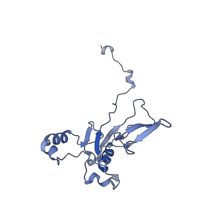 34373_8gym_s4_v1-0
Cryo-EM structure of Tetrahymena thermophila respiratory mega-complex MC IV2+(I+III2+II)2
