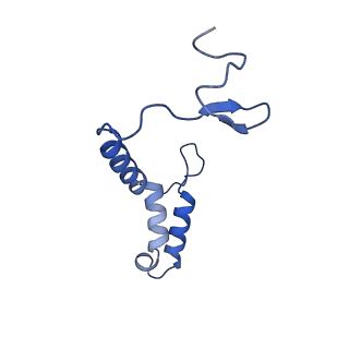 34373_8gym_s5_v1-0
Cryo-EM structure of Tetrahymena thermophila respiratory mega-complex MC IV2+(I+III2+II)2