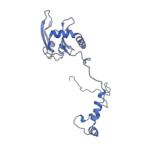 34373_8gym_s8_v1-0
Cryo-EM structure of Tetrahymena thermophila respiratory mega-complex MC IV2+(I+III2+II)2