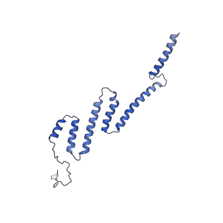 34373_8gym_s_v1-0
Cryo-EM structure of Tetrahymena thermophila respiratory mega-complex MC IV2+(I+III2+II)2