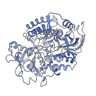 34373_8gym_sa_v1-0
Cryo-EM structure of Tetrahymena thermophila respiratory mega-complex MC IV2+(I+III2+II)2