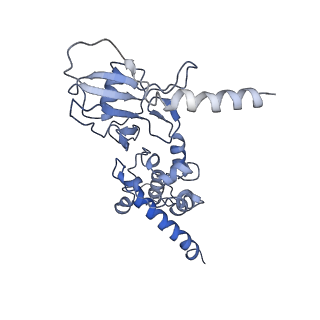 34373_8gym_sb_v1-0
Cryo-EM structure of Tetrahymena thermophila respiratory mega-complex MC IV2+(I+III2+II)2