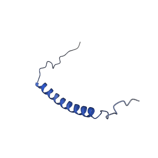 34373_8gym_sc_v1-0
Cryo-EM structure of Tetrahymena thermophila respiratory mega-complex MC IV2+(I+III2+II)2