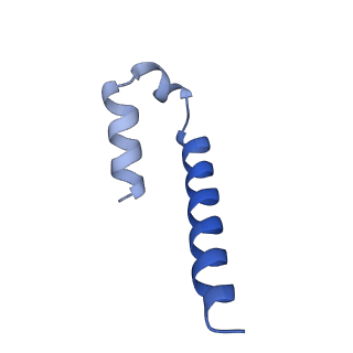 34373_8gym_sd_v1-0
Cryo-EM structure of Tetrahymena thermophila respiratory mega-complex MC IV2+(I+III2+II)2