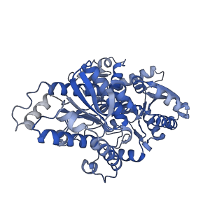 34373_8gym_t1_v1-0
Cryo-EM structure of Tetrahymena thermophila respiratory mega-complex MC IV2+(I+III2+II)2