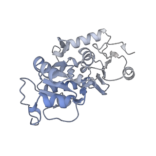 34373_8gym_t2_v1-0
Cryo-EM structure of Tetrahymena thermophila respiratory mega-complex MC IV2+(I+III2+II)2