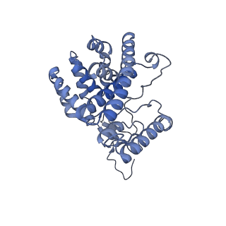 34373_8gym_t3_v1-0
Cryo-EM structure of Tetrahymena thermophila respiratory mega-complex MC IV2+(I+III2+II)2