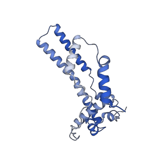 34373_8gym_t4_v1-0
Cryo-EM structure of Tetrahymena thermophila respiratory mega-complex MC IV2+(I+III2+II)2